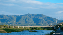 正正在进行投标、采购和中标的消息查