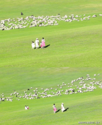 领会的和天然风貌