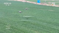 <b>国度提出正在精耕细做上下</b>